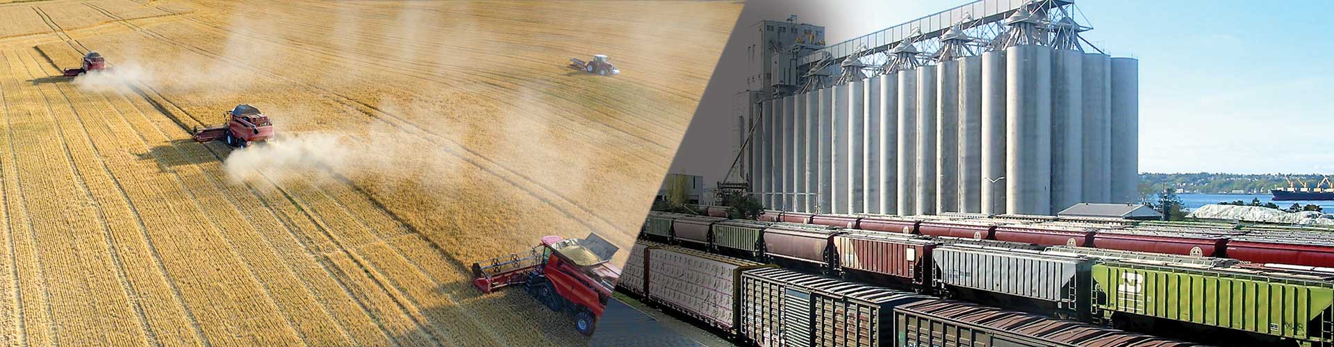 grain handling automation