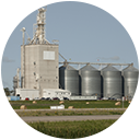 Feed Mill Automation